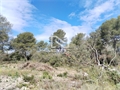 Photo numero 47580593 du bien UBI440582282